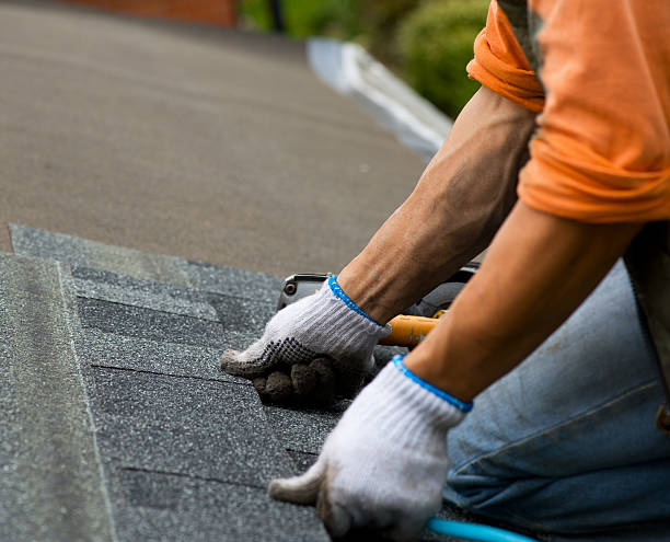Best Emergency Roof Repair  in Alameda, CA