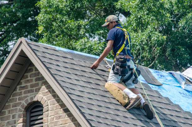 Quick and Trustworthy Emergency Roof Repair Services in Alameda, CA